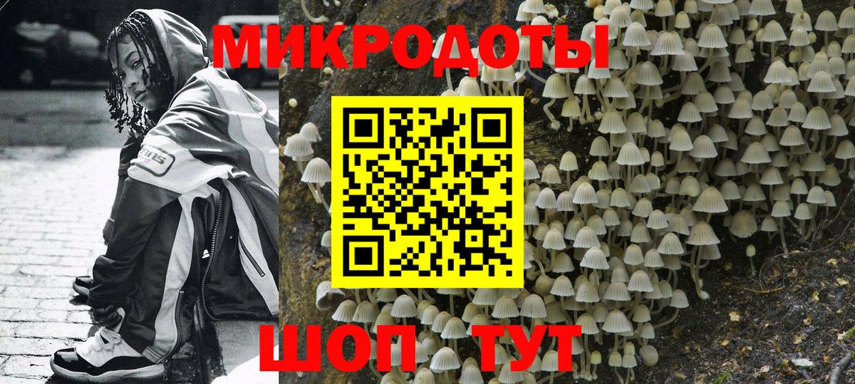 Люберцы  Псилоцибиновые грибы прущие грибы  Вход с VPN  Псилоцибиновые грибы Cubensis 